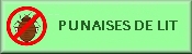 Punaises de Lit